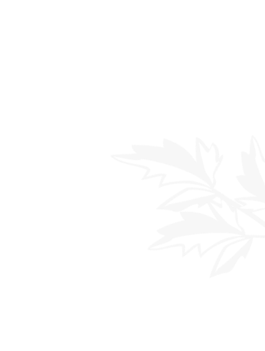 世界杯官方买球